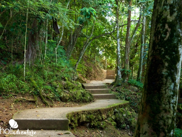 “Ruins of coffee plantations” Trail - “Ruins of coffee plantations” Trail