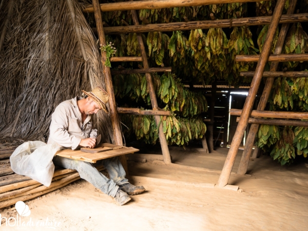  - “THE WORLD OF TOBACCO” Tour