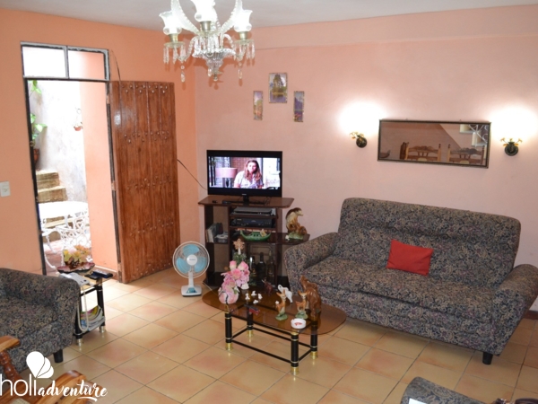 House living room - Casa Dalia y Juan