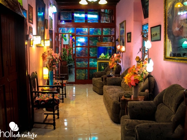 House living room - Casa Aleido