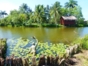 The Zapata Swamp and Girón Beach: a perfect combination between History and Nature Tour