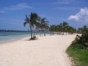 The Zapata Swamp and Girón Beach: a perfect combination between History and Nature Tour