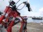 "Let's go to the beach!" Bike Tour