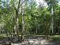 Finca la Belén, Camaguey