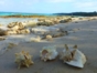 Maguana beach, Baracoa, Cuba