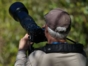 Birdwatching in Salinas de Brito