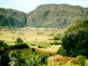 “Stunning Vistas in Viñales” Tour