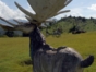 Prehistoric Valley, Baconao Park, Santiago de Cuba