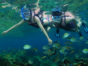 Snorkeling at Varadero Beach-Matanzas-Cuba