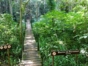 “Horseback Riding La Pastora – Sugar Mills Valley – Javira Waterfall” Tour