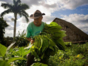 “The Secretes of the Tobacco” Tour