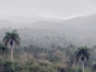 Sierra de Cristal
