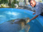 The Granja de las Tortugas (Turtle Farm) and the Experimental Sea Turtle Breeding Centre, Cayo Largo del Sur, Cuba.