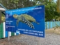 The Granja de las Tortugas (Turtle Farm) and the Experimental Sea Turtle Breeding Centre, Cayo Largo del Sur, Cuba.