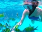Snorkeling in Cayo Piedra, Varadero