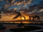 Santiago de Cuba´s Sunset by Boat
