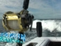 Fishing in Jardines del Rey Tour