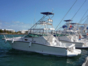 Fishing in Jardines del Rey Tour