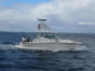 Fishing in Jardines del Rey Tour