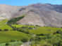 Elqui Valley, Coquicombo region, Chile