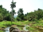 Guanayara Natural Park, Topes de Collantes