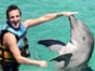Dolphin Experience in Varadero