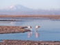 Altiplanic lagoons, panoramic view, Antofagasta region, Chile