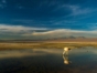 Sunset at the Tebenquiche lagoon, Antofagasta region, Chile.