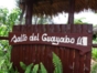 Pinares de Mayarí, Holguín