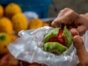 THE LIMA'S COLORS & FLAVORS TOUR, PERU