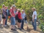 Jeep Tour "Cuba Campesina (Finca Alcalá)"
