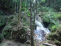 Jobo Rosado" Protected Area"