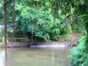 Visit to the "La Rosita" farm