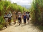 Visit to the "La Rosita" farm