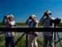 Birdwatching in Cayo Coco