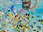 Snorkeling in Punta Perdiz- Matanzas