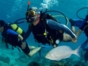 "Diving in Albacora Dive Center" Marea del Portillo Tour