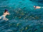 Snorkeling in the coral reff in Santa Lucia