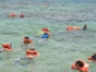 Snorkeling in the coral reff in Santa Lucia