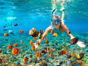 Snorkeling in the coral reff in Santa Lucia