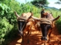 “Visit to a Cuban Farm” Tour