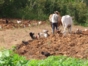 “Visit to a Cuban Farm” Tour