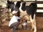 “Visit to a Cuban Farm” Tour