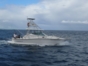Deep Sea Fishing, Holguín