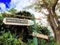 "Nature Tour Nicho-Trinidad in American Classic Car"