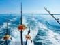 Bottom Fishing in Santiago de Cuba