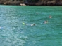 Snorkeling in Cayo Saetía natural and marine park panoramic view, Holguín