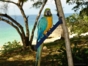 Cayo Saetía natural and marine park panoramic view, Holguín
