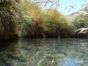 Puritama hot springs, Antofagasta region, Chile.