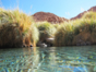 Puritama hot springs, Antofagasta region, Chile.